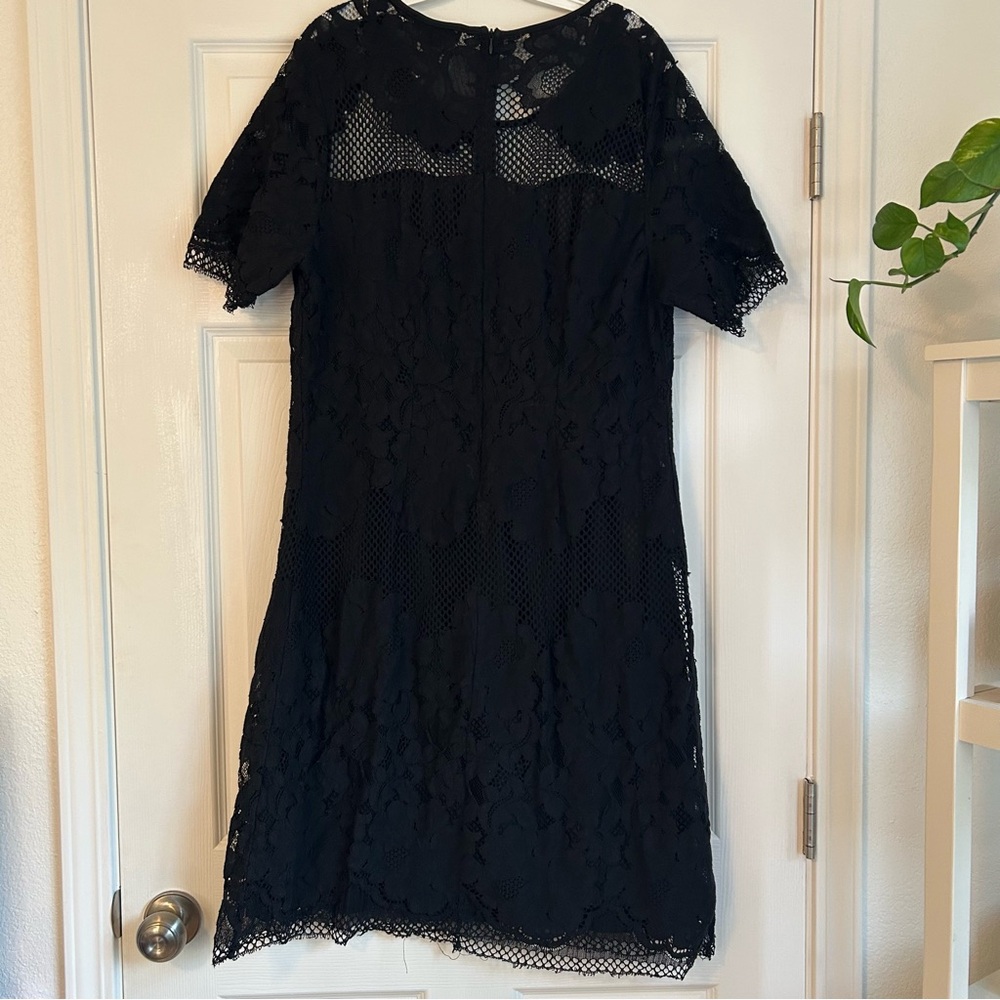 Chicwe black lace mini dress size 20